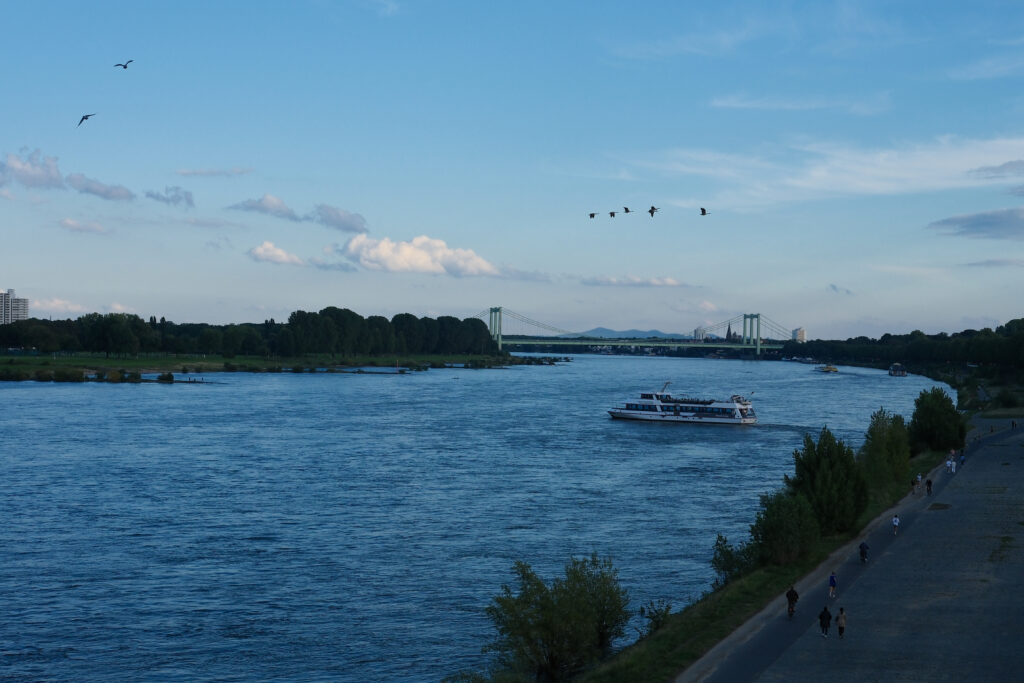Rhine in the evening